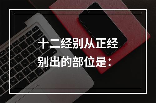 十二经别从正经别出的部位是：