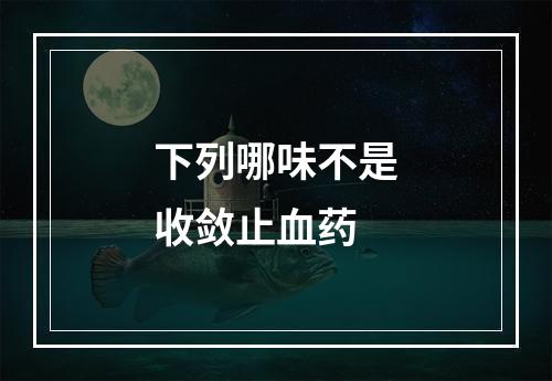 下列哪味不是收敛止血药