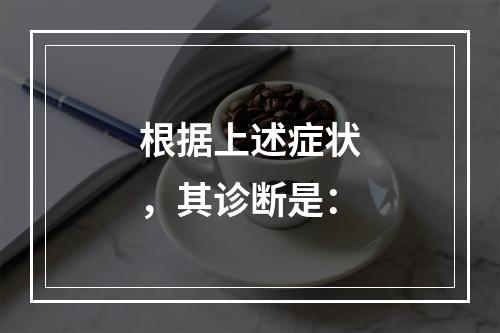 根据上述症状，其诊断是：