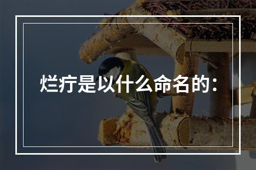 烂疔是以什么命名的：