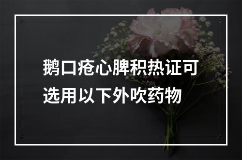 鹅口疮心脾积热证可选用以下外吹药物