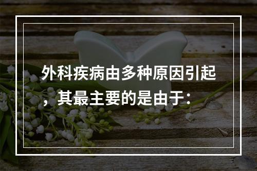 外科疾病由多种原因引起，其最主要的是由于：