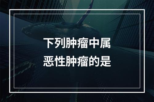 下列肿瘤中属恶性肿瘤的是