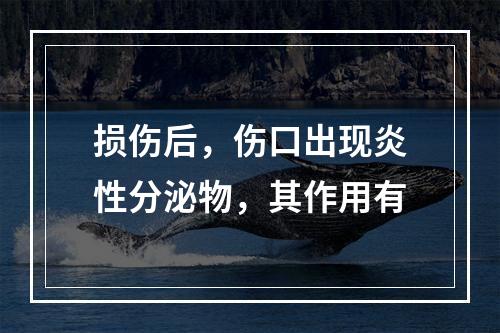 损伤后，伤口出现炎性分泌物，其作用有