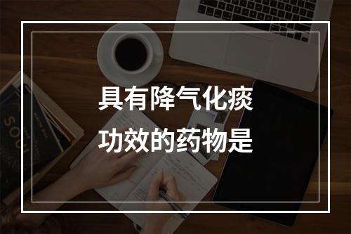 具有降气化痰功效的药物是