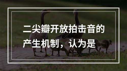 二尖瓣开放拍击音的产生机制，认为是