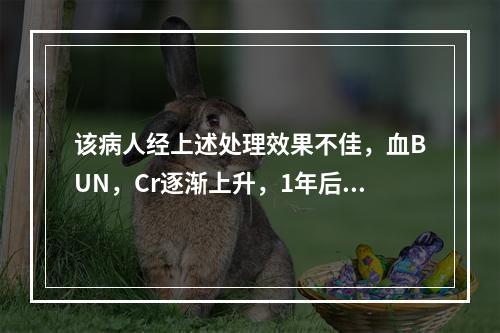 该病人经上述处理效果不佳，血BUN，Cr逐渐上升，1年后出现