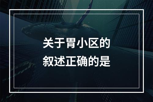 关于胃小区的叙述正确的是