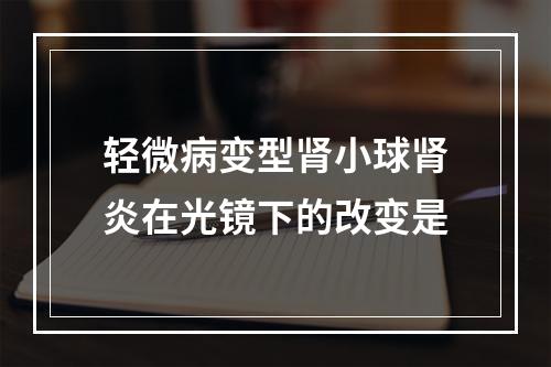 轻微病变型肾小球肾炎在光镜下的改变是