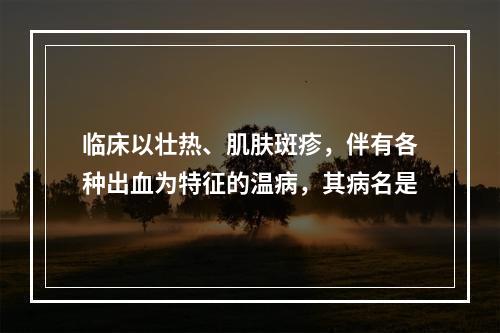 临床以壮热、肌肤斑疹，伴有各种出血为特征的温病，其病名是