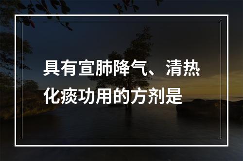 具有宣肺降气、清热化痰功用的方剂是