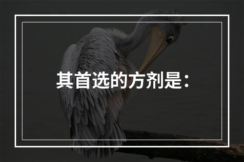 其首选的方剂是：