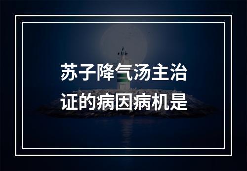 苏子降气汤主治证的病因病机是