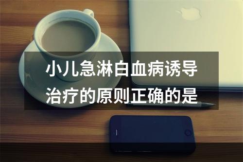 小儿急淋白血病诱导治疗的原则正确的是