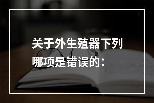 关于外生殖器下列哪项是错误的：