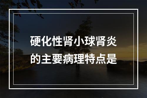 硬化性肾小球肾炎的主要病理特点是