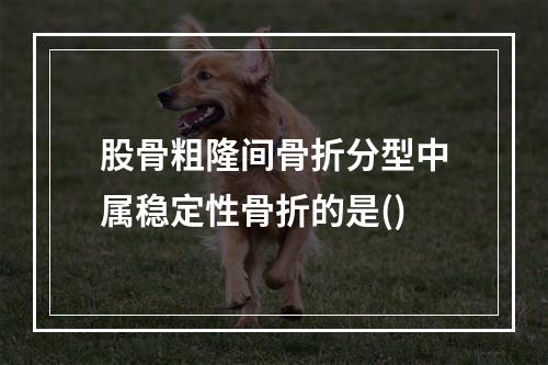 股骨粗隆间骨折分型中属稳定性骨折的是()