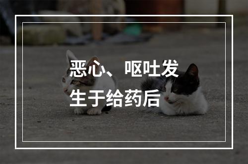 恶心、呕吐发生于给药后