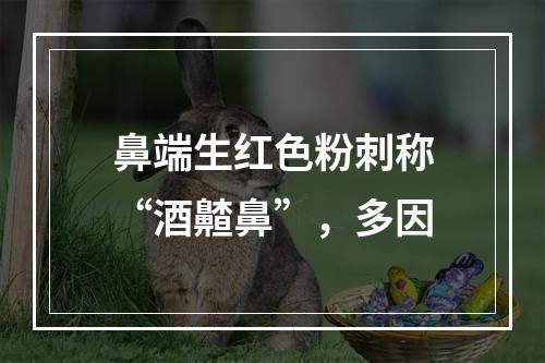 鼻端生红色粉刺称“酒齄鼻”，多因