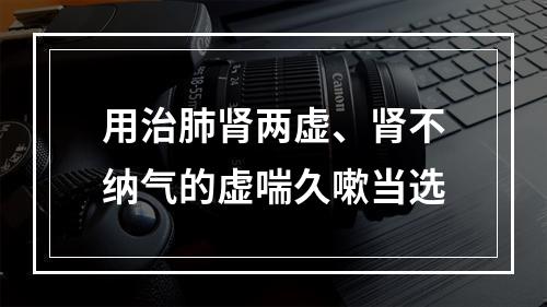 用治肺肾两虚、肾不纳气的虚喘久嗽当选