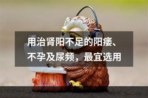 用治肾阳不足的阳痿、不孕及尿频，最宜选用