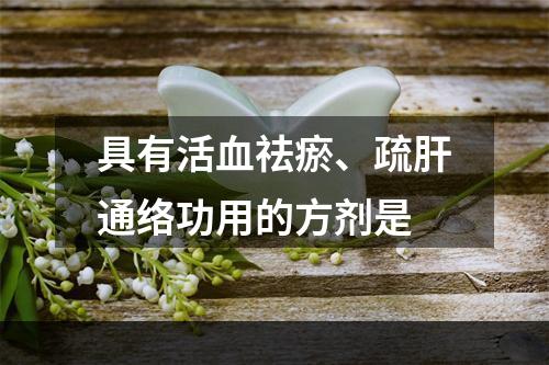 具有活血祛瘀、疏肝通络功用的方剂是