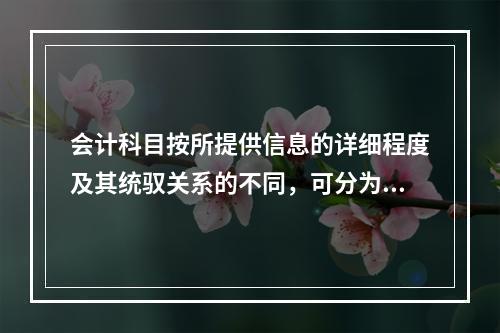 会计科目按所提供信息的详细程度及其统驭关系的不同，可分为（