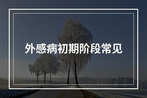 外感病初期阶段常见