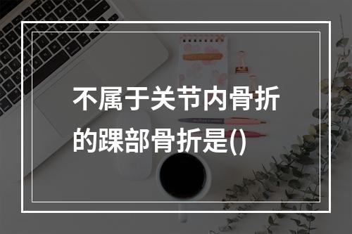 不属于关节内骨折的踝部骨折是()