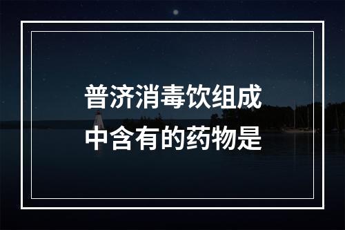 普济消毒饮组成中含有的药物是