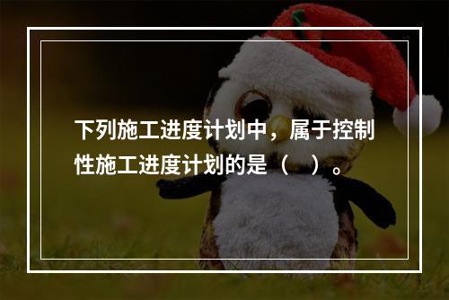 下列施工进度计划中，属于控制性施工进度计划的是（　）。