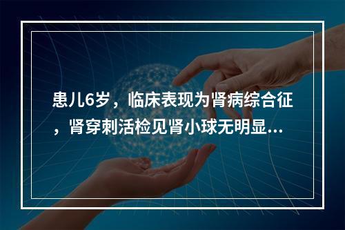 患儿6岁，临床表现为肾病综合征，肾穿刺活检见肾小球无明显变化