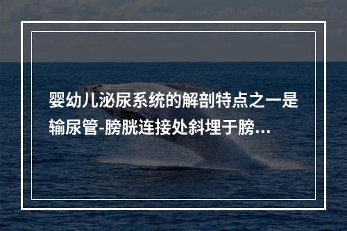 婴幼儿泌尿系统的解剖特点之一是输尿管-膀胱连接处斜埋于膀胱黏