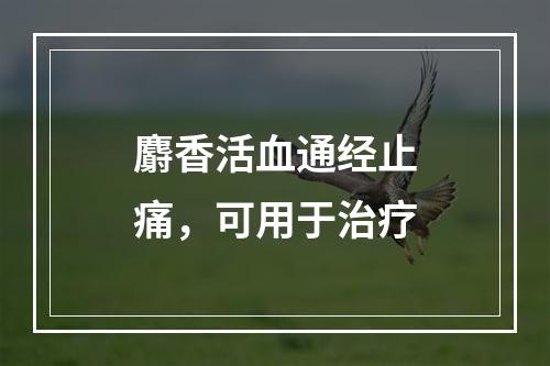 麝香活血通经止痛，可用于治疗