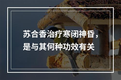 苏合香治疗寒闭神昏，是与其何种功效有关