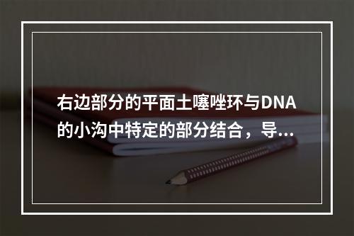 右边部分的平面土噻唑环与DNA的小沟中特定的部分结合，导敢D