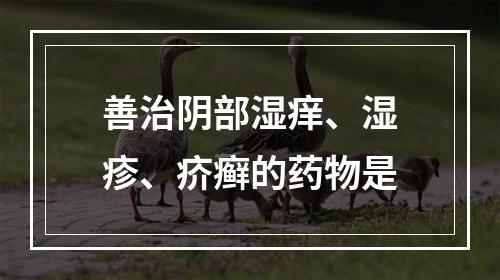 善治阴部湿痒、湿疹、疥癣的药物是