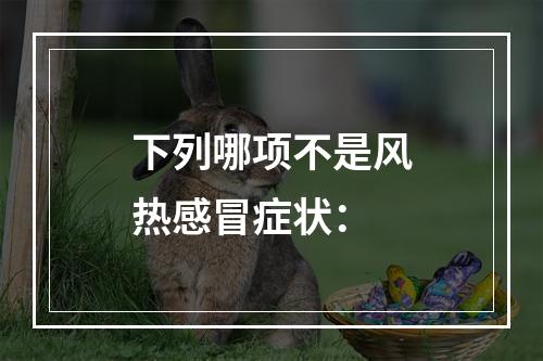 下列哪项不是风热感冒症状：