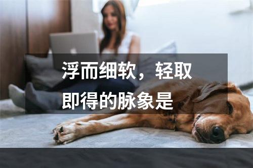 浮而细软，轻取即得的脉象是