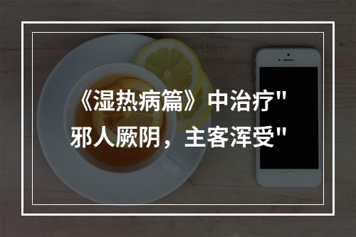 《湿热病篇》中治疗