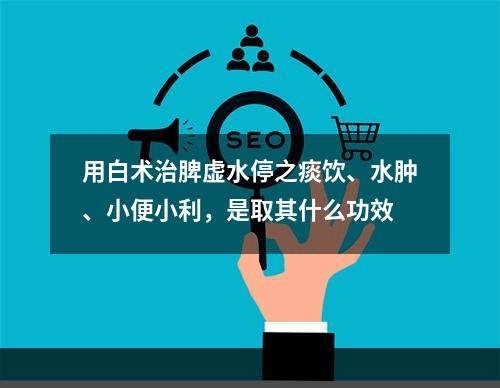 用白术治脾虚水停之痰饮、水肿、小便小利，是取其什么功效