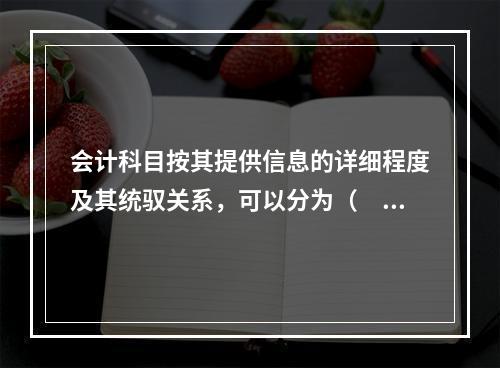 会计科目按其提供信息的详细程度及其统驭关系，可以分为（　　）