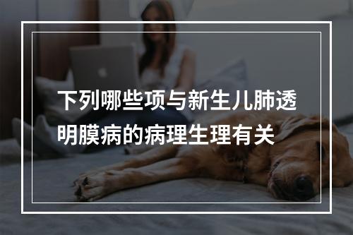 下列哪些项与新生儿肺透明膜病的病理生理有关