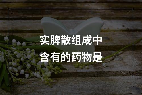 实脾散组成中含有的药物是