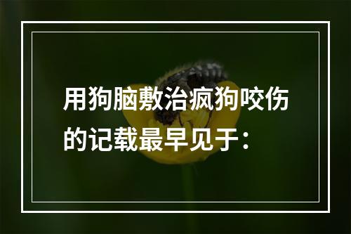 用狗脑敷治疯狗咬伤的记载最早见于：