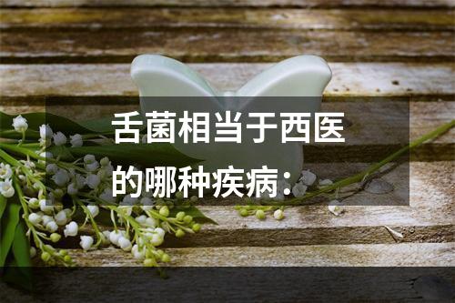 舌菌相当于西医的哪种疾病：