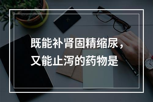 既能补肾固精缩尿，又能止泻的药物是