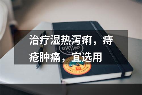 治疗湿热泻痢，痔疮肿痛，宜选用