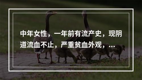 中年女性，一年前有流产史，现阴道流血不止，严重贫血外观，子宫