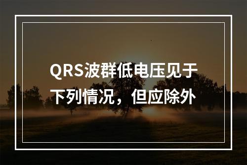 QRS波群低电压见于下列情况，但应除外